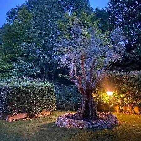 Bellissima Vicino Al Di Lecco Climatizzata Barbecue Hotell