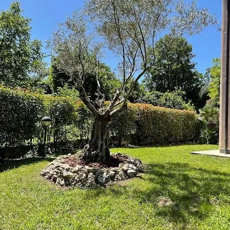 Bellissima Vicino Al Di Lecco Climatizzata Barbecue Hotel 3*